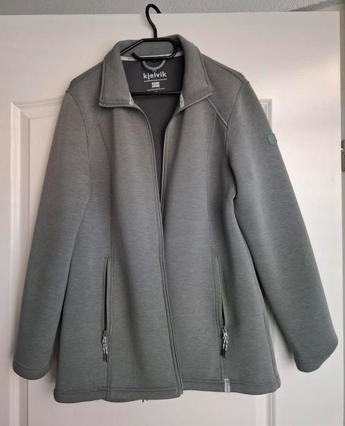 Vest 42, Kleding | Dames, Truien en Vesten, Zo goed als nieuw, Maat 42/44 (L), Groen, Ophalen of Verzenden
