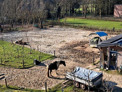 Stalling voor een IJslander op een mini paddock paradise, Dieren en Toebehoren, Stalling en Weidegang, Stalling, Weidegang