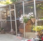 Voliere panelen en deuren, Dieren en Toebehoren, Vogels | Hokken en Kooien, Ophalen of Verzenden