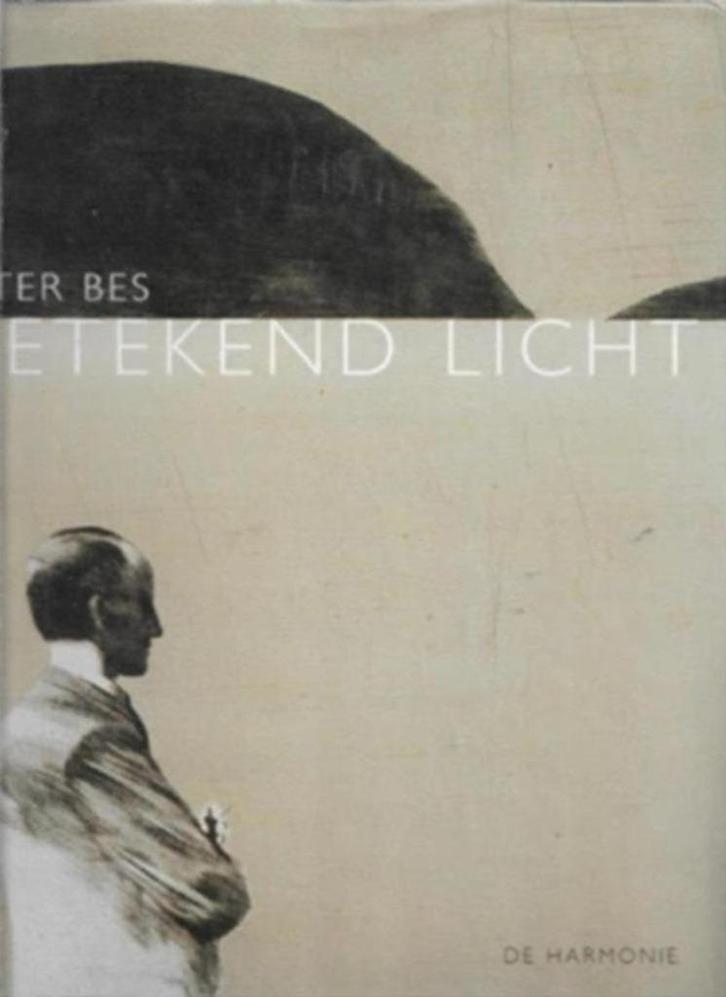 Peter Bes Getekend licht, Boeken, Kunst en Cultuur | Beeldend, Zo goed als nieuw, Schilder- en Tekenkunst, Ophalen of Verzenden