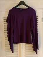 Trui Sisterpoint. Xl., Ophalen of Verzenden, Zo goed als nieuw, Maat 46/48 (XL) of groter, Paars