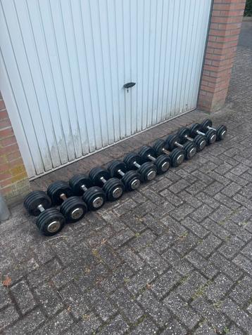 Lifemaxx dumbellset 16kg tm 26kg beschikbaar voor biedingen