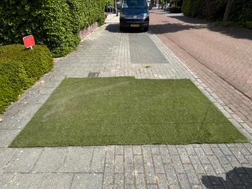 kunst gras , 200x300 beschikbaar voor biedingen