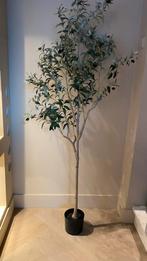 Kunst olijfboom 180 cm, Verzenden, Nieuw