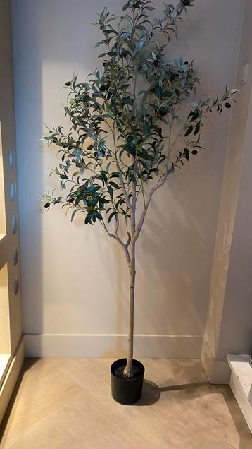 Kunst olijfboom 180 cm beschikbaar voor biedingen