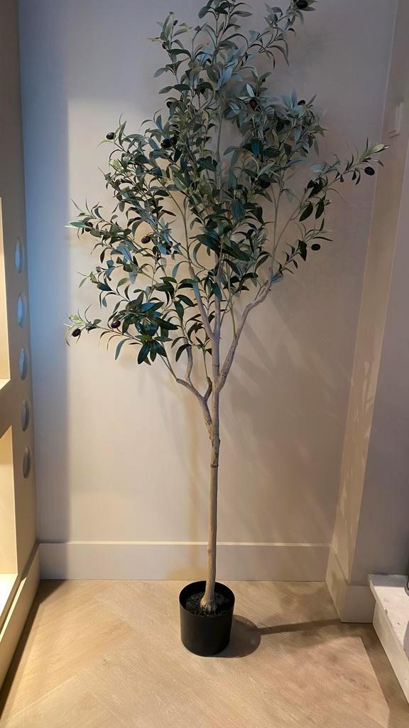 Kunst olijfboom 180 cm, Huis en Inrichting, Woonaccessoires | Kunstplanten en Kunstbloemen, Nieuw, Verzenden