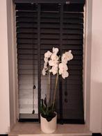 Zwarte houten jaloezieën 60 cm breed. 2 stuks., Huis en Inrichting, Stoffering | Gordijnen en Lamellen, Ophalen of Verzenden, Zo goed als nieuw