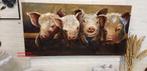 VARKEN / biggetjes / schilderij / dieren / AANBIEDING
