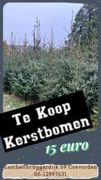 Te koop kerstbomen, Ophalen of Verzenden