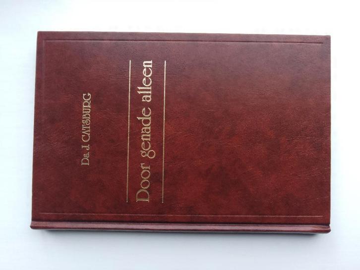 Door genade alleen - ds. J. Catsburg, Boeken, Godsdienst en Theologie, Gelezen, Christendom | Protestants, Ophalen of Verzenden
