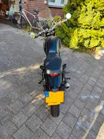 Mutt motorcycle DRK-01 250cc Deluxe, 250 cc, Mutt-motorcycles, Particulier, 1 cilinder