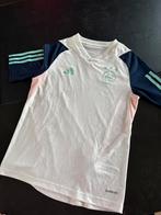 Ajax shirt zo goed als nieuw maat 152, Maat XS of kleiner, Ophalen of Verzenden, Zo goed als nieuw, Shirt