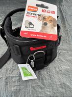 Mooie honden tuigjes  in een koop 44 50 cm met adres koker, Brikettenhout@hotmail.com, Br, Ophalen of Verzenden, Nieuw