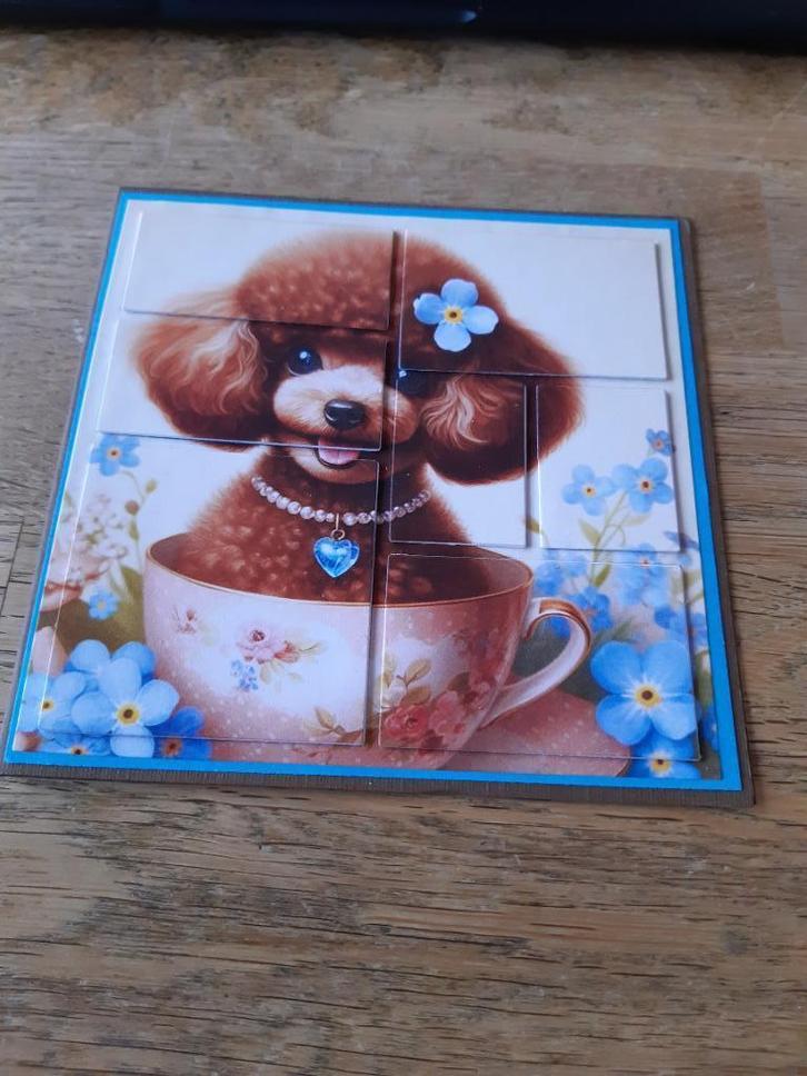 Diepte-Toy poedel(200), Hobby en Vrije tijd, Kaarten | Zelfgemaakt, Nieuw, Overige thema's, Ophalen of Verzenden