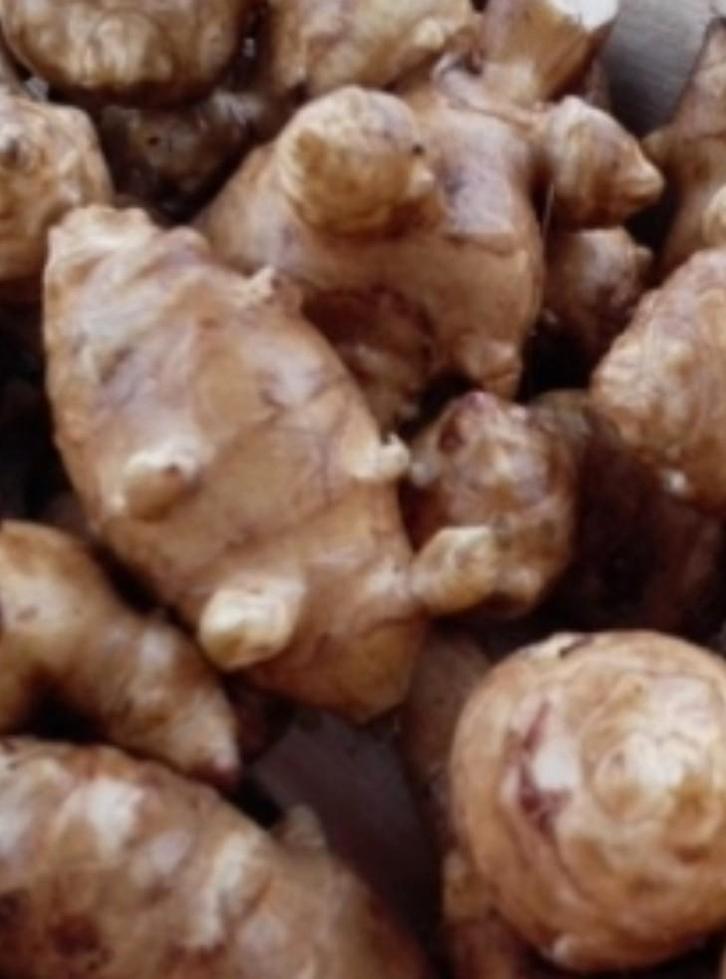 Verse Aardperen / Topinamboer - Biologisch!, Diversen, Levensmiddelen, Ophalen