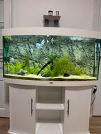 Juwel Vision 260, Dieren en Toebehoren, Vissen | Aquaria en Toebehoren, Ophalen, Leeg aquarium