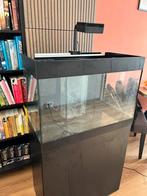 Oase styleline 125 met sump, Dieren en Toebehoren, Vissen | Aquaria en Toebehoren, Ophalen, Gebruikt, Leeg aquarium