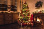 Gezocht kerstboom. Kleur maakt niet uit., Diversen, Kerst, Ophalen, Nieuw
