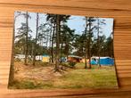 Ansichtkaart Harskamp, camping harskamperdennen, Ophalen of Verzenden, 1960 tot 1980