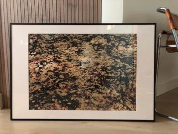 “Recuerdos de Monet” ~ Jorge Omeñaca beschikbaar voor biedingen