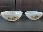 Acropal France 2 schalen van set "Fruits de France", Ophalen of Verzenden
