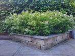 Natuursteen bloembak + bijna nieuwe planten/bloemen, Tuin en Terras, Ophalen, Zo goed als nieuw, Steen