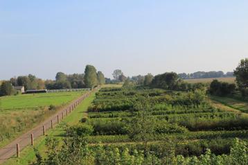 bomen beschikbaar voor biedingen