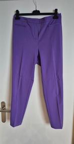 Pinko broek. M40., Verzenden, Paars, Zo goed als nieuw, Lang
