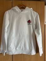 America Today Hoodie - Keith Haring - Maat 170/176, Kinderen en Baby's, Ophalen of Verzenden, Zo goed als nieuw