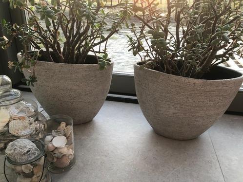BLOEMPOT GROOT GRIJS binnen 2 stuks, Tuin en Terras, Bloempotten, Zo goed als nieuw, Beton, Binnen, Minder dan 40 cm, 25 tot 40 cm