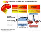 Germaanse geneeskunde, Ophalen of Verzenden, Beta, Nieuw