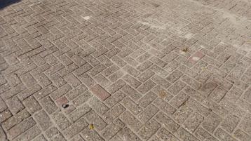 +/- 120 m² betonklinkers gratis af te halen. beschikbaar voor biedingen