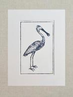 Ets Lepelaar met passe partout 30x40 cm, Minder dan 50 cm, Oorspronkelijke maker, Nieuw, Ophalen of Verzenden