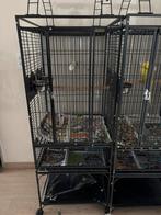 Vogelkooi, Dieren en Toebehoren, Vogels | Hokken en Kooien, Ophalen, Zo goed als nieuw, Metaal, Vogelkooi