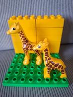 2 giraffen, Ophalen of Verzenden, Zo goed als nieuw, Duplo