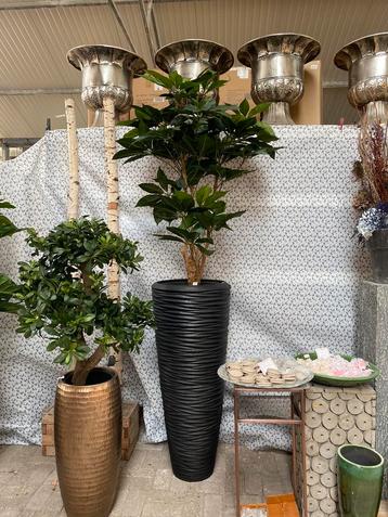 Hoge polystone zwarte bloempot 120cm - vaas plantenbak beschikbaar voor biedingen