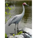 Brolga Crane – Kraanvogel beeld Hoogte 150 cm, Ophalen, Nieuw, Overige typen