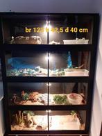 Terrarium, Dieren en Toebehoren, Reptielen en Amfibieën | Toebehoren, Ophalen, Zo goed als nieuw, Terrarium of Paludarium