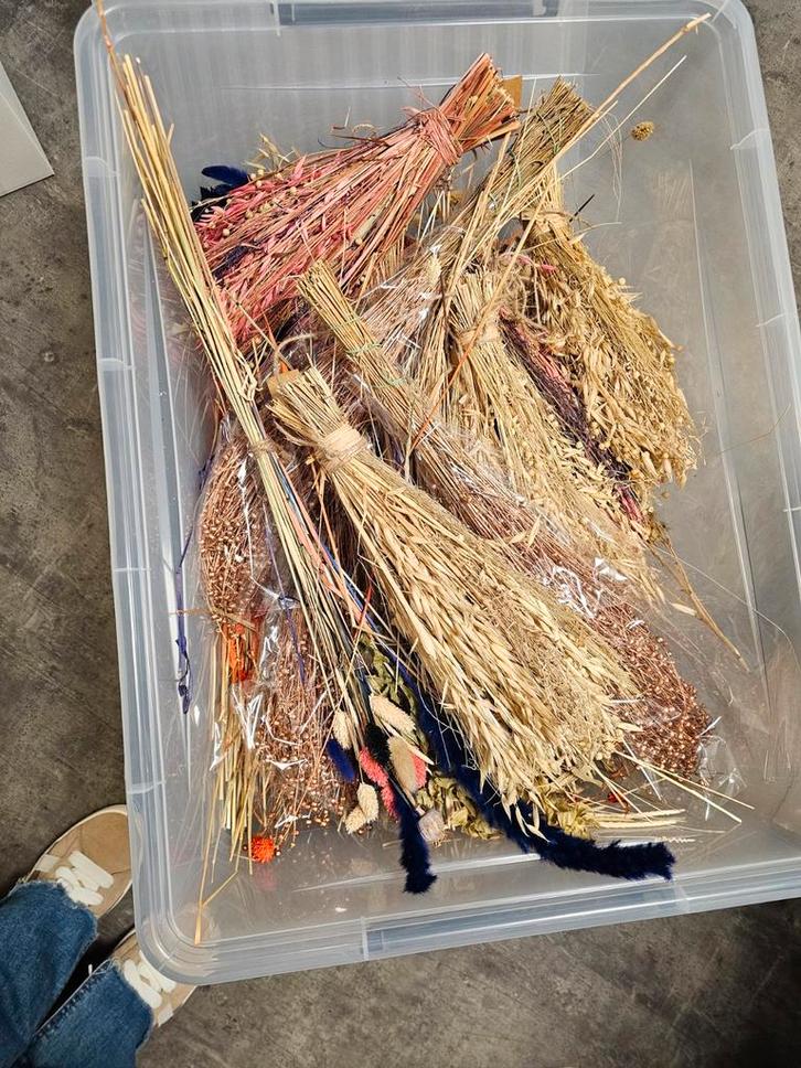 Grote partij droogbloemen, Huis en Inrichting, Woonaccessoires | Droogbloemen, Ophalen of Verzenden