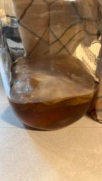 Kombucha scoby, Diversen, Ophalen of Verzenden