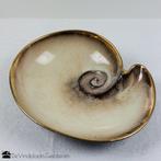 Opvallende schelpvormige schaal, Ophalen of Verzenden