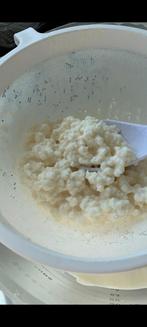 Biologische melk Kefir korrels, probiotica, Ophalen