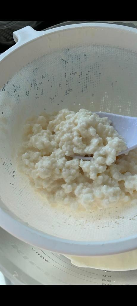 Biologische melk Kefir korrels, probiotica, Diversen, Levensmiddelen, Ophalen