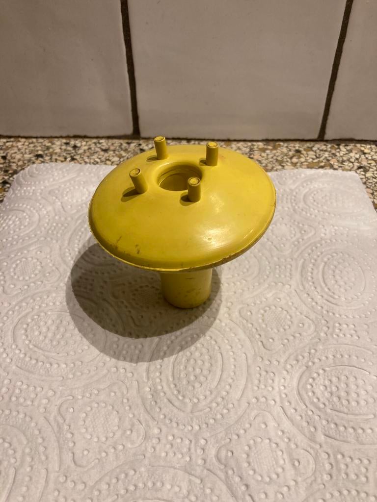 Oude punnik paddestoel?, Ophalen of Verzenden