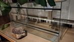 Gratis terrarium 100x50, Dieren en Toebehoren, Reptielen en Amfibieën | Toebehoren, Ophalen of Verzenden, Gebruikt, Terrarium of Paludarium