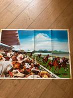 Origineel jaren 60-70 poster met honden publiek siam gallery, Ophalen of Verzenden, Gebruikt, Dier of Natuur