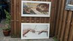 2 Grote uitvoeringen van de Creation of Adam, Ophalen, 50 tot 75 cm, Zo goed als nieuw, Schilderij