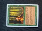 Nature lore fifth edition, Hobby en Vrije tijd, Verzamelkaartspellen | Magic the Gathering, Ophalen, Zo goed als nieuw