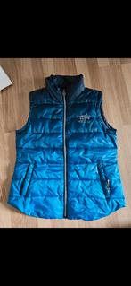 Bodywarmers te koop, Kleding | Heren, Ophalen of Verzenden, Zo goed als nieuw, Maat 52/54 (L), Blauw