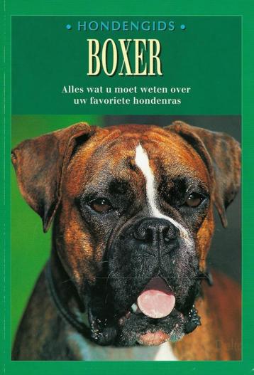 HONDENGIDS BOXER  beschikbaar voor biedingen